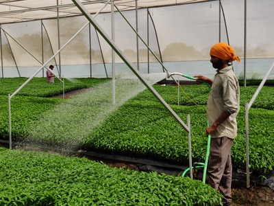 Polytray System